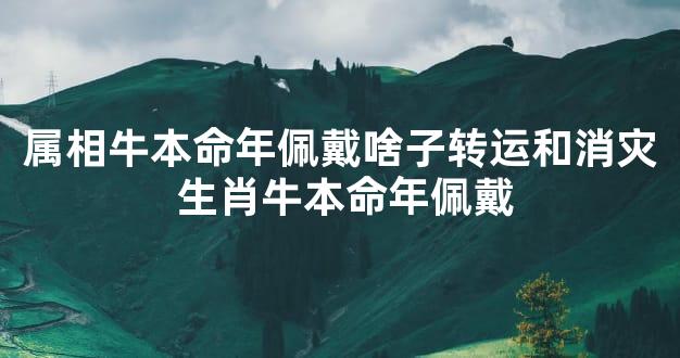 属相牛本命年佩戴啥子转运和消灾 生肖牛本命年佩戴